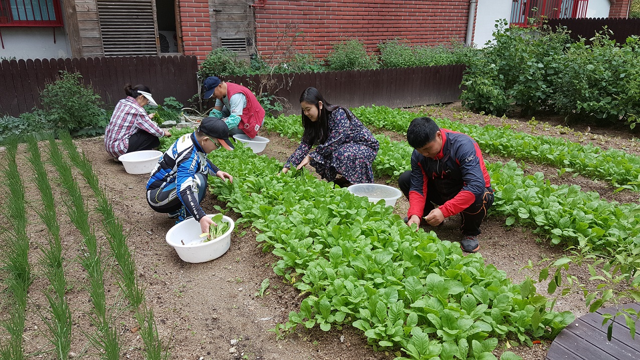 덕천마을공동체 ‘시민텃밭 왕’ 선정