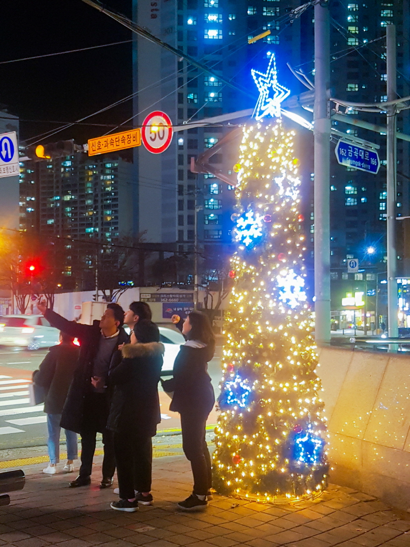 거리의 그늘막이 성탄트리로 깜짝 변신