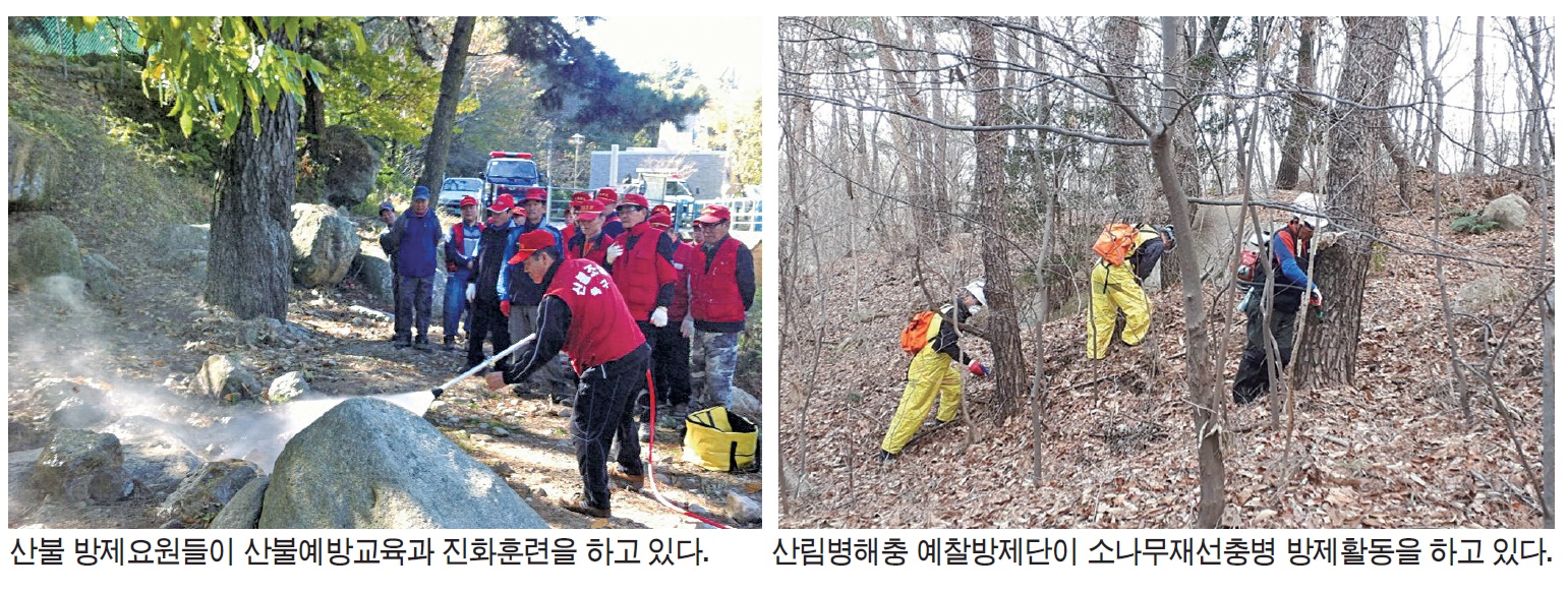 “산불과 재선충병으로부터 산림을 지켜라” 특명